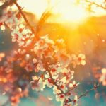 Ostéopathie : ses bienfaits en quelques lignes !